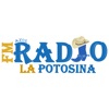 FM Azul Radio La Potosina