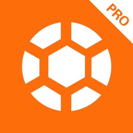 懂球族专业版——球类租赁