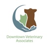 Downtown Veterinary Assoc