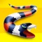 Icon Idle Snake World - Evolution