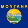 Montana Classic Solitaire