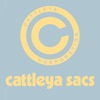 cattleya sacs