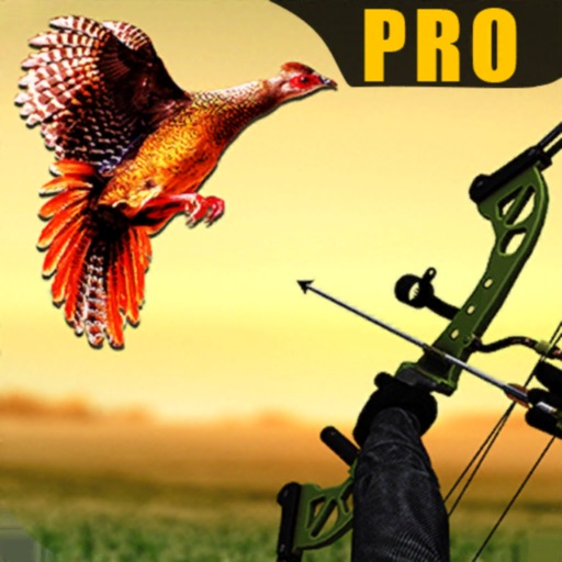 Pheasant Bow Hunting Pro