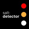 Salt:detector