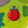 LadybugFun