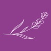Lavender - لافندر