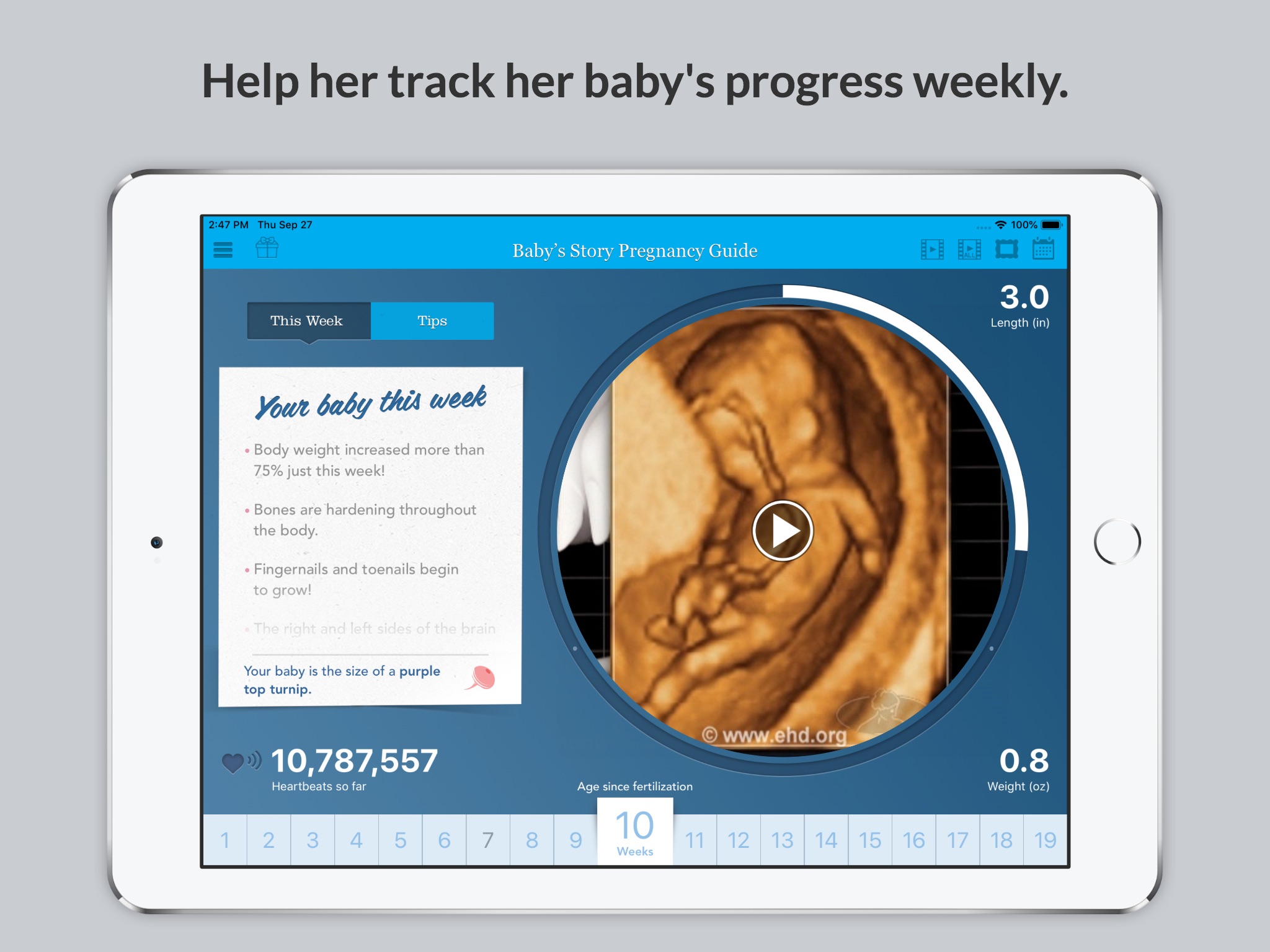 Baby's Story Pregnancy Guide screenshot 4