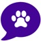 - Create a social media profile of your pet(s), or just your own