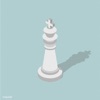Chess Opening App