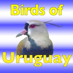 The Birds of Uruguay
