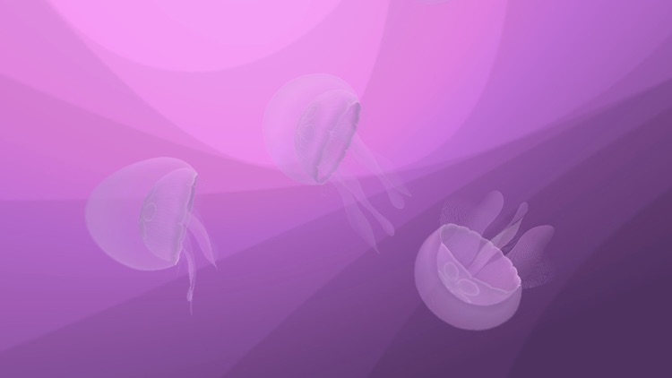 Jellyfish AR/VR 2 screenshot-5