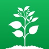 The Plant - Care & Identifier