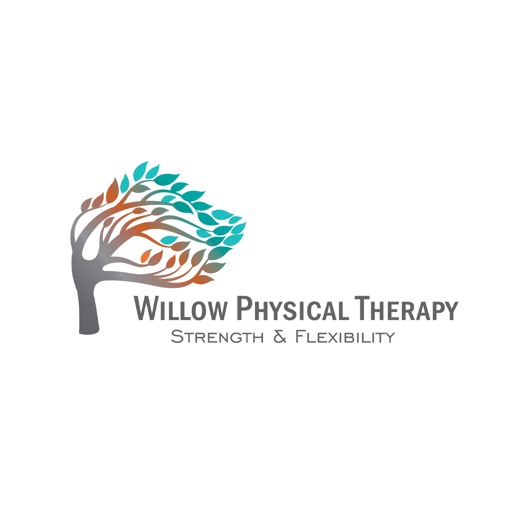 Willow Physical Therapy