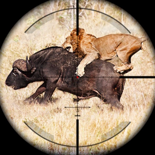 Animals Hunting 4x4 Gun Games