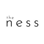 the ness studio