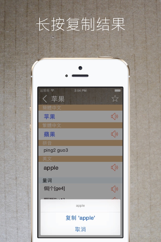Chinese English Dictionary Pro screenshot 3
