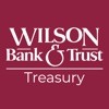 WBT Treasury Solutions
