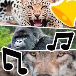 Animal Ringtones & Sounds