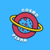 Cosmo Telecom