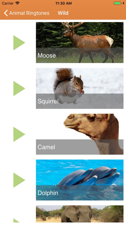 Animal Ringtones & Sounds