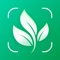 Icon PlantNow-Plant Identification