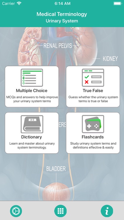 Urinary System Medical Terms