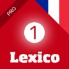 Lexico Comprendre 1 Pro