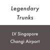 LV Singapore Changi 5