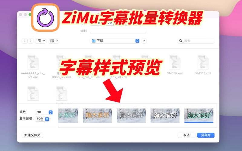 ZiMu字幕批量转换器
