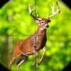 Deer Hunter 2023 : Marksman
