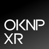 OKNP XR - 작품 전시회, 큐레이션, XR 갤러리