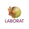 The LABORAT App promotes the LABORAT project - Latina: Agriculture, Good Employment and Territorial Agricultural Network, aimed at favouring the social and working inclusion of Third Country Nationals working in the agricultural sector in the province of Latina, with particular regard to the potential victims of “caporalato” (illegal recruitment)