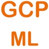 GCP Professional ML Engineer