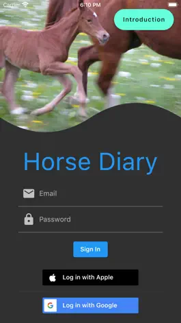 Game screenshot Horse Diary apk