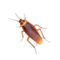 App Icon for Bug Plague - Play on Watch App in Pakistan IOS App Store