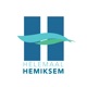 Hemiksem
