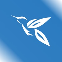 DoMyTrip командировки на пк