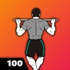 Icon 100 Pull Ups Workout
