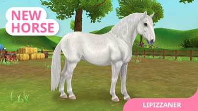 Star Stable: Horses screenshot 3