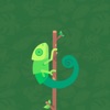 Hungry Chameleon