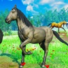 Wild Horse Family Simulator 3D