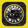 Widnes Wild IHC