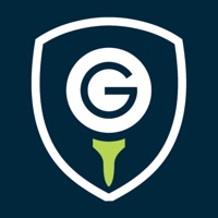 TheGrint logo