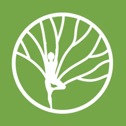 Bodytree Wellness Studio Читы