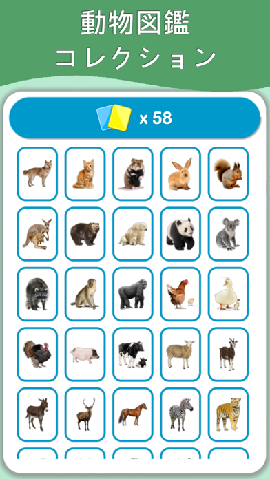 動物図鑑 Lite 英語学習 Iphone Ipadアプリ アプすけ