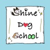 Shine Dog School