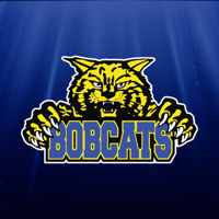 Bloomfield Athletics