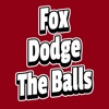 Fox dodge the balls