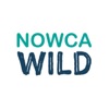 Nowca Wild