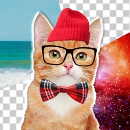 Cat Photo Editor!